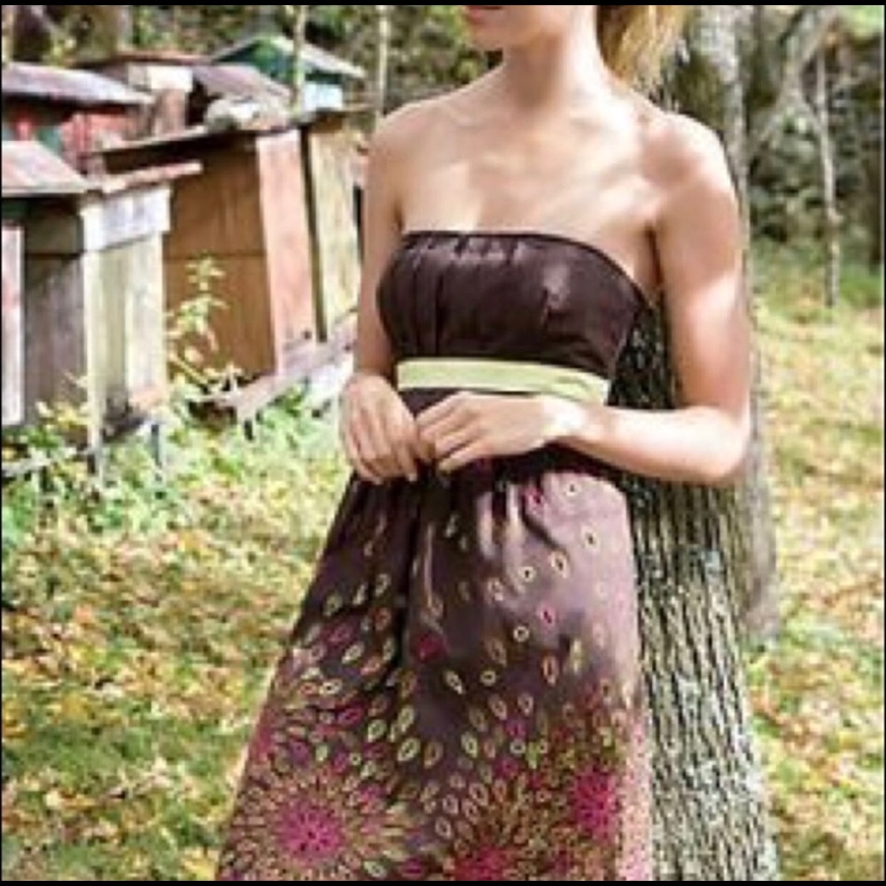 Anthropologie Tabitha dress 8